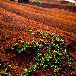 “我们那周都太忙了”！玩家请愿重新发售《Concord》